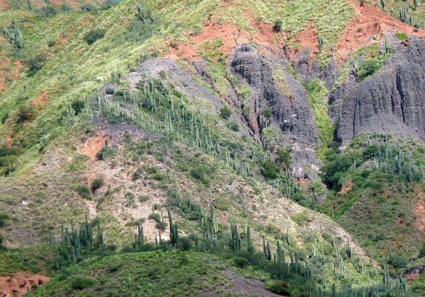 Salta - Quebrada de Escoipe