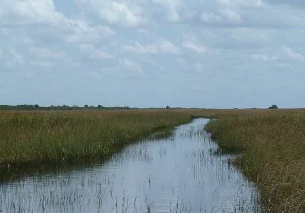 Everglades - Airboat 1