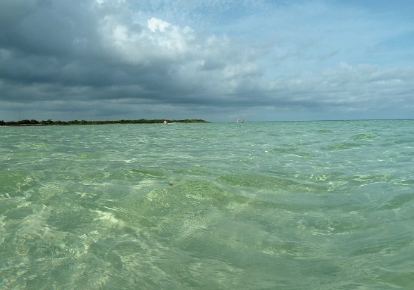 Florida - Giugno 2012