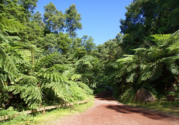 Sao Miguel - Caldeira Velha