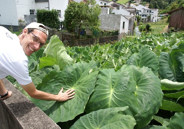 Sao Miguel - Furnas