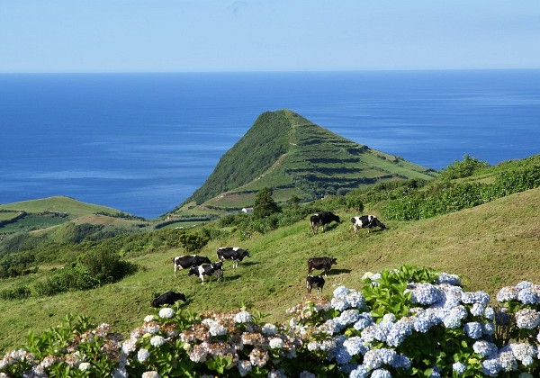 Sao Miguel - Ovest