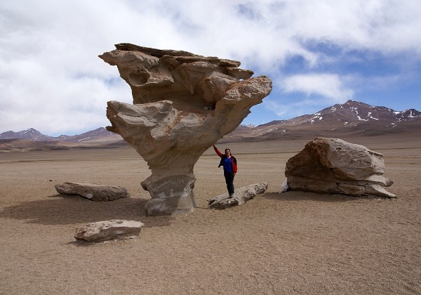 Arbol de Piedra