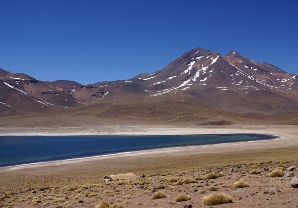 Atacama - Lagune altipianiche