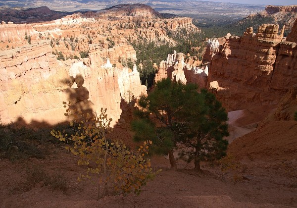 Bryce Canyon - Kodachrome B