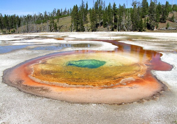 Yellowstone - Pool